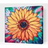 Vymalujsisam.sk Maľovanie podľa čísiel - Farebná slnečnica Veľkosť: 50x50cm, Rám: Na kartónovej doske Vymalujsisam.sk Maľovanie podľa čísiel - Farebná slnečnica Veľkosť: 50x50cm, Rám: Na kartónovej doske