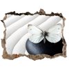 Díra 3D fototapeta nálepka Zen kameň a motýľ 95x64 cm Díra 3D fototapeta nálepka Zen kameň a motýľ 95x64 cm