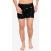Icebreaker Merino 150 Anatomica Boxers Explore More black/aop
