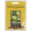 TROPICA Kaki strom - 10 zŕn TROPICA Kaki strom - 10 zŕn