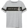 EPlus pánske tričko Harry Potter Rokfort sivé