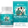Liftea KOMBUCHA Pamäť a koncentrácia cps 1x60 ks Liftea KOMBUCHA Pamäť a koncentrácia cps 1x60 ks