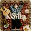 Horák Michal - Jsem asi boomer LP Horák Michal - Jsem asi boomer LP