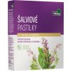 Naturprodukt Šalvějové pastilky 20 ks Naturprodukt Šalvějové pastilky 20 ks