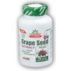 Amix GreenDay ProVEGAN Grape Seed Extract 90 tabliet Amix GreenDay ProVEGAN Grape Seed Extract 90 tabliet