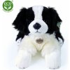 Eco Fiendly Rappa pes Border kolie ležící 45 cm