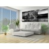 ForWall Fototapeta panoramatická vliesová Jaguar 250 x 104 cm