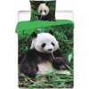 Jerry Fabrics obliečky Panda bavlna 140x200 70x90