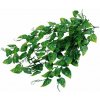 Lucky Reptile Jungle Plants Philo cca 50 cm Lucky Reptile Jungle Plants Philo cca 50 cm