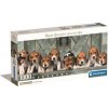 Puzzle Panorama 1000 Compact Beagles 39869 Puzzle Panorama 1000 Compact Beagles 39869