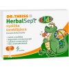 Dr.Theiss HerbalSept Kids lízanky na bolesť hrdla (6ks) Dr.Theiss HerbalSept Kids lízanky na bolesť hrdla (6ks)