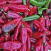 BIO paprika Atris F1 - Capsicum annuum - bio semená papriky - 5 ks BIO paprika Atris F1 - Capsicum annuum - bio semená papriky - 5 ks