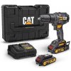 CAT DX11 CAT DX11