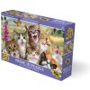 PRIME 3D puzzle Selfie mačky 100 ks PRIME 3D puzzle Selfie mačky 100 ks