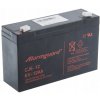 ALARMGUARD 6V 12Ah CJ6-12 ALARMGUARD 6V 12Ah CJ6-12