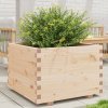 vidaXL Záhradný kvetináč 70x70x49,5 cm borovicový masív vidaXL Záhradný kvetináč 70x70x49,5 cm borovicový masív