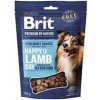 Brit Premium Dog by Nature SM Snacks Lamb 180g Brit Premium Dog by Nature SM Snacks Lamb 180g