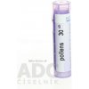 POLLENS GRA HOM CH30 1x4 g POLLENS GRA HOM CH30 1x4 g