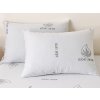 XPOSE® Aloe vera obliečka na vankúš PREMIUM CARE 40x60 cm, Aloe Vera XPOSE® Aloe vera obliečka na vankúš PREMIUM CARE 40x60 cm, Aloe Vera