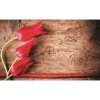 Fototapeta na stenu - FT0135 - Tulipány 208cm x 146cm - Vliesová fototapeta Fototapeta na stenu - FT0135 - Tulipány 208cm x 146cm - Vliesová fototapeta