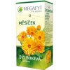 MEGAFYT Bylinková lekáreň Nechtík porciovaný čaj 20 x 1,5 g MEGAFYT Bylinková lekáreň Nechtík porciovaný čaj 20 x 1,5 g