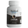 Medveď natural Chaga 30 kapsúl Medveď natural Chaga 30 kapsúl