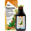 Salus Floradix Magnesium 250 ml