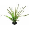 Repti Planet rastlina Spartina 30 cm Repti Planet rastlina Spartina 30 cm