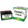 Fulbat FT12A-BS GEL Fulbat FT12A-BS GEL