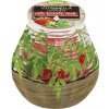 Sviečka bolsius Teracce Citronella, repelentná, 94/91 mm, paradajka Sviečka bolsius Teracce Citronella, repelentná, 94/91 mm, paradajka