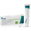 DERMATOP HEALING CREAM PLUS BIONECT na rany 1x25 g