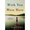 Wish You Were Here (O 'NAN STEWART)(Brožovaná) Wish You Were Here (O 'NAN STEWART)(Brožovaná)