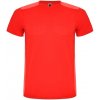 ROLY Tričko Detroit, sportovní, pánské E6652-60254-XXL 2XL Červená ROLY Tričko Detroit, sportovní, pánské E6652-60254-XXL 2XL Červená