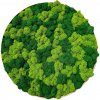 Machový obraz - Kruh lišajník mix Veľkosť rámu: 90cm Machový obraz - Kruh lišajník mix Veľkosť rámu: 90cm