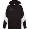 Puma teamEVOSTRIPE Hooded Jacket 659947-03