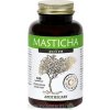 Apothecary Masticha active 45 g 100 kapsúl Apothecary Masticha active 45 g 100 kapsúl