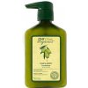 CHI Olive Organics Hair & Body Conditioner 340 ml CHI Olive Organics Hair & Body Conditioner 340 ml