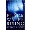 Black Water Rising - Attica Locke Black Water Rising - Attica Locke