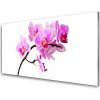 Obraz na akrylátovom skle Kvety rastlina príroda 100x50 cm Obraz na akrylátovom skle Kvety rastlina príroda 100x50 cm