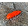 FISHUP Pupa 1,2 FISHUP Pupa 1,2