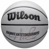 Wilson NBA Player Icon Uv Bskt Giannis