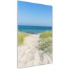 Vertikálny foto obraz akrylové sklo Morské duny 50x100 cm Vertikálny foto obraz akrylové sklo Morské duny 50x100 cm