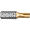 Graphite Bity Torx TX25 x 25 mm, 2 ks 57H974 Graphite Bity Torx TX25 x 25 mm, 2 ks 57H974