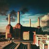 Animals - Pink Floyd CD