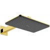 Hansgrohe Raindance Alive Q - Hlavová sprcha, 21x34 cm, 2 prúdy, leštený vzhľad zlata 24550990 Hansgrohe Raindance Alive Q - Hlavová sprcha, 21x34 cm, 2 prúdy, leštený vzhľad zlata 24550990