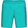 Arena Logotype Beach Boxer
