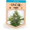 Garden Of Green Seedbank - Critical XXL 5 ks - Semená neobsahujú THC Garden Of Green Seedbank - Critical XXL 5 ks - Semená neobsahujú THC