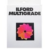Ilford filter pre Multigrade 8,9 x 8,9 cm Ilford filter pre Multigrade 8,9 x 8,9 cm