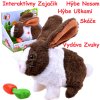 JOKO Interaktívny Zajac zvieratko, skáče, hýbe nosom, hýbe uškami, vydáva zvuky, na batérie, hnedý JOKO Interaktívny Zajac zvieratko, skáče, hýbe nosom, hýbe uškami, vydáva zvuky, na batérie, hnedý