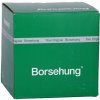Borsehung B12825 Palivový filter Borsehung B12825 Palivový filter